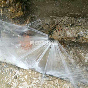 皇姑消防管道漏水检测